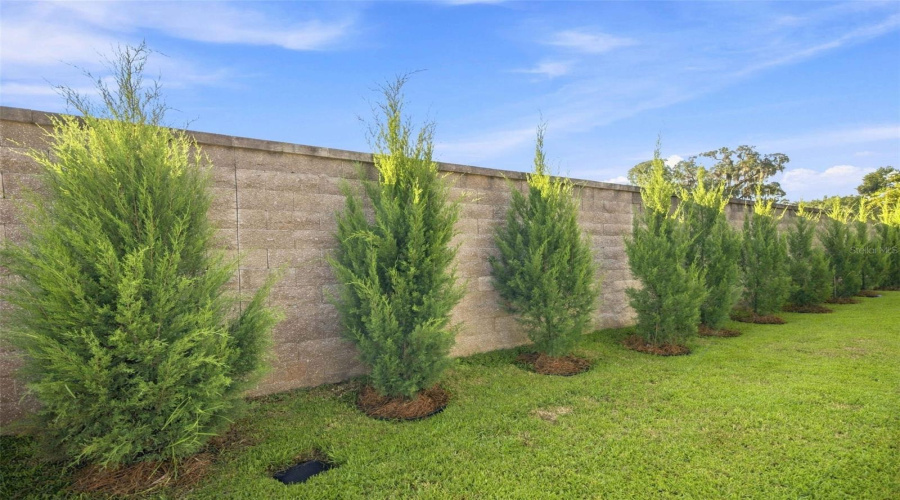 The Villages, Florida 32162, 3 Bedroom Bedrooms, ,2 Bathroombathrooms,Residential,For Sale,74Th Soulliere,0,Mfrom731158
