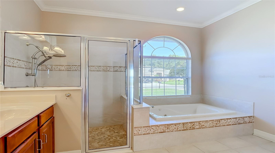 Odessa, Florida 33556, 4 Bedroom Bedrooms, ,3 Bathroombathrooms,Residential,For Sale,Ivy Lake,0,Mfrtb8534918