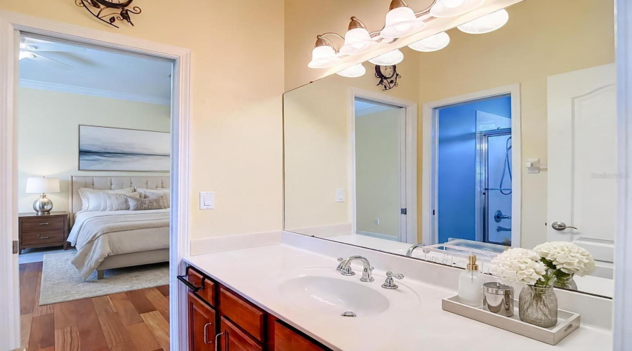 Jack And Jill With View Of Bedroom #3