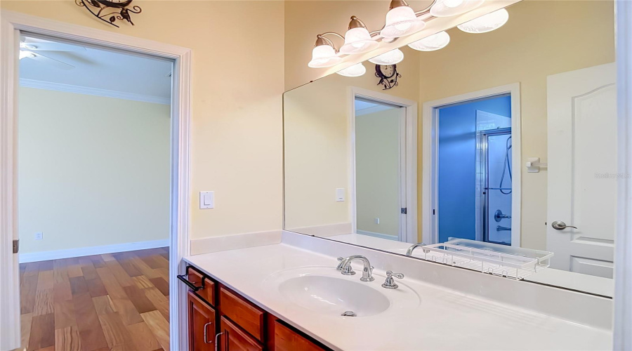 Odessa, Florida 33556, 4 Bedroom Bedrooms, ,3 Bathroombathrooms,Residential,For Sale,Ivy Lake,0,Mfrtb8534918