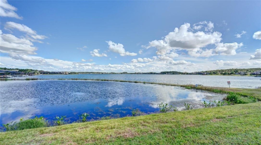 Odessa, Florida 33556, 4 Bedroom Bedrooms, ,3 Bathroombathrooms,Residential,For Sale,Ivy Lake,0,Mfrtb8534918