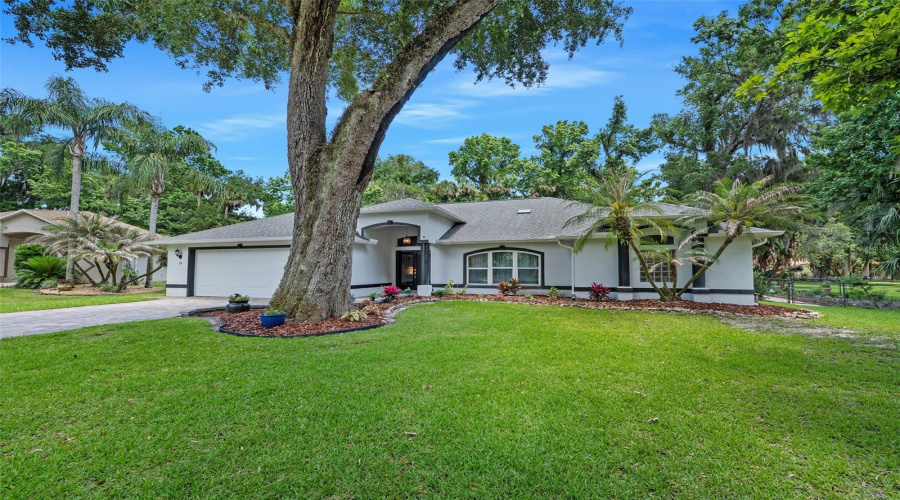 Ormond Beach, Florida 32174, 5 Bedroom Bedrooms, ,3 Bathroombathrooms,Residential,For Sale,Cotton Mill,0,Mfrv4949242