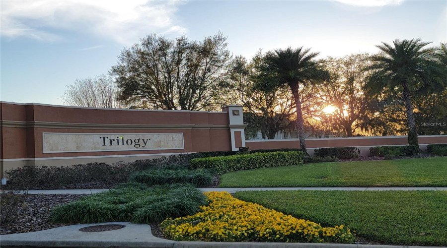Trilogy® Is More Than A Place To Live. It'S Knowing You'Re In The Right Place, At The Right Time And In The Right Home