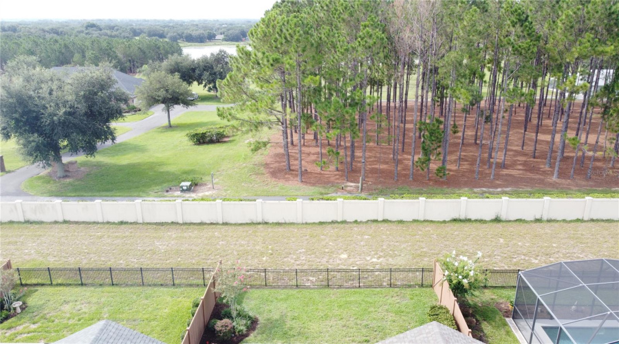 Fenced Yard Looks Out To A Scenic Wooded Setting