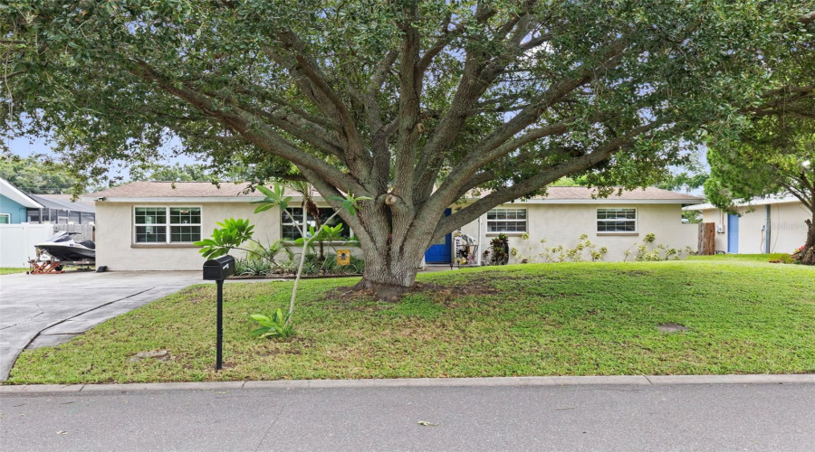 Clearwater, Florida 33759, 4 Bedroom Bedrooms, ,2 Bathroombathrooms,Residential,For Sale,Carlton,0,Mfrtb8531802