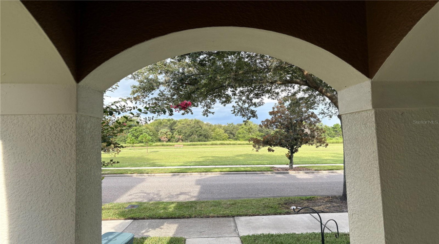Open Space Across Street