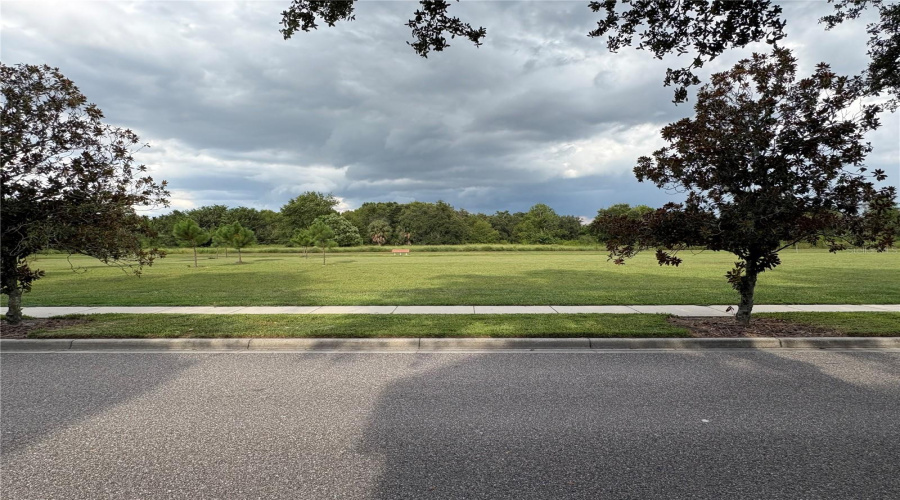 Open Space Across Street