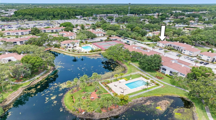 Tampa, Florida 33618, 2 Bedroom Bedrooms, ,2 Bathroombathrooms,Residential,For Sale,Carrollwood,0,Mfrtb8542639