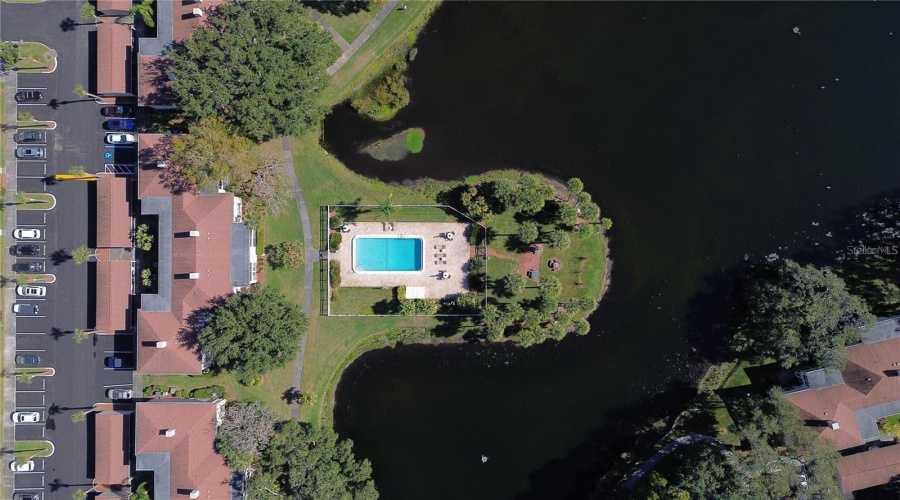 Tampa, Florida 33618, 2 Bedroom Bedrooms, ,2 Bathroombathrooms,Residential,For Sale,Carrollwood,0,Mfrtb8542639