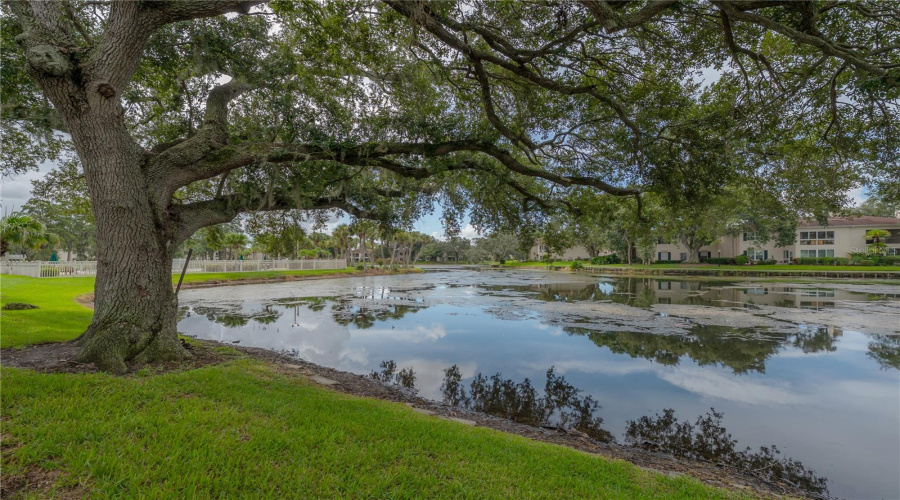 Tampa, Florida 33618, 2 Bedroom Bedrooms, ,2 Bathroombathrooms,Residential,For Sale,Carrollwood,0,Mfrtb8542639