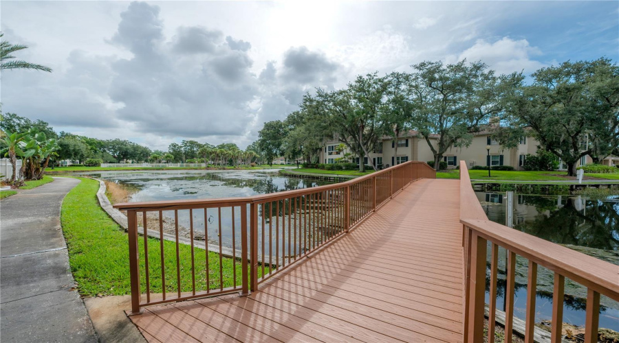 Tampa, Florida 33618, 2 Bedroom Bedrooms, ,2 Bathroombathrooms,Residential,For Sale,Carrollwood,0,Mfrtb8542639