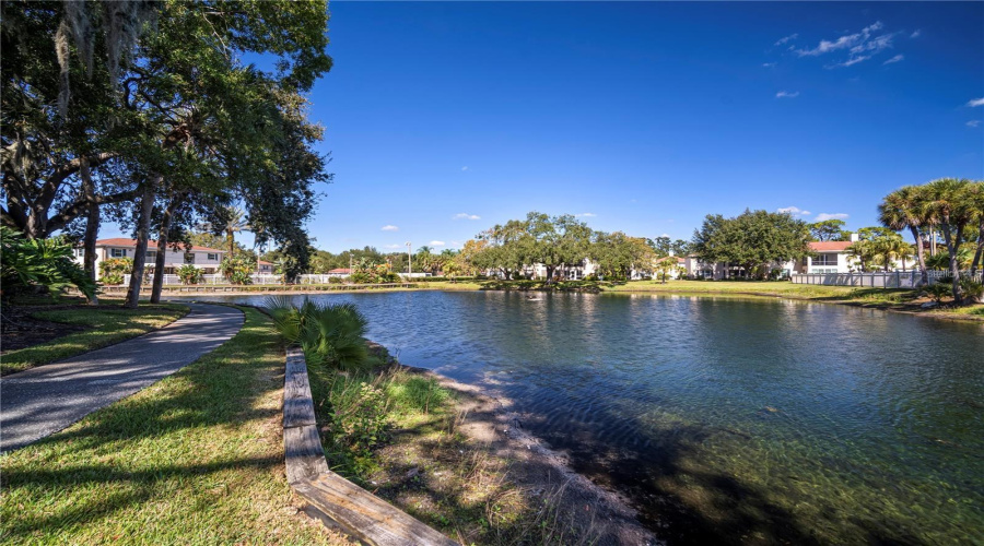 Tampa, Florida 33618, 2 Bedroom Bedrooms, ,2 Bathroombathrooms,Residential,For Sale,Carrollwood,0,Mfrtb8542639
