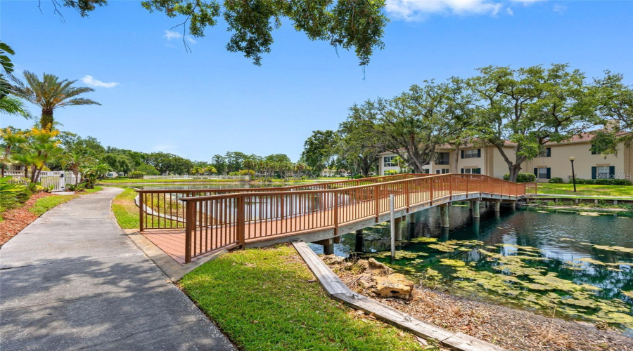 Tampa, Florida 33618, 2 Bedroom Bedrooms, ,2 Bathroombathrooms,Residential,For Sale,Carrollwood,0,Mfrtb8542639