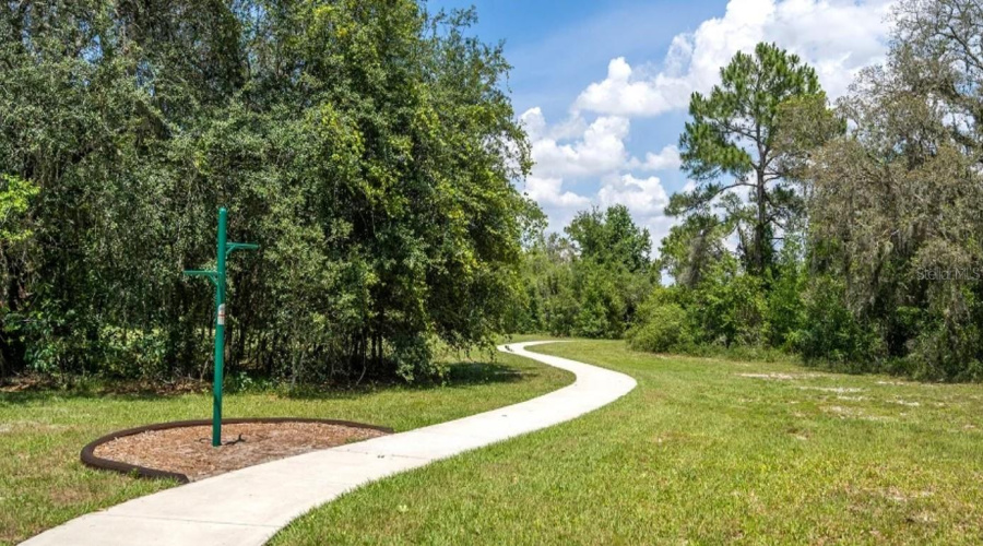 Walk Trails
