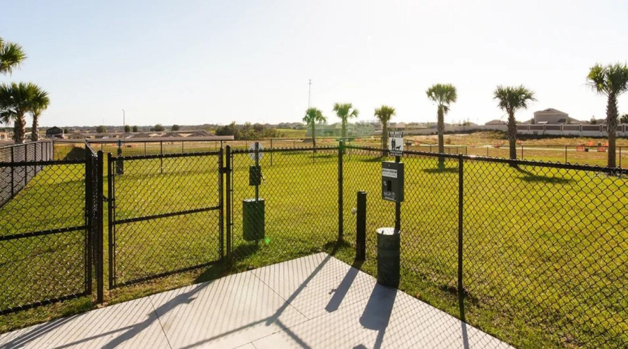 Dog Park