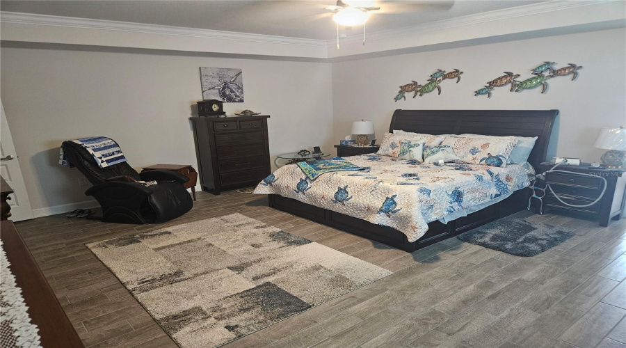 Master Bedroom W/Tray Ceiling