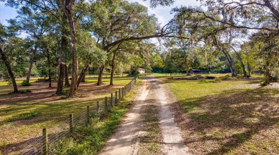 Dade City, Florida 33525, 3 Bedroom Bedrooms, ,2 Bathroombathrooms,Residential,For Sale,Clinton,0,Mfrtb8468434