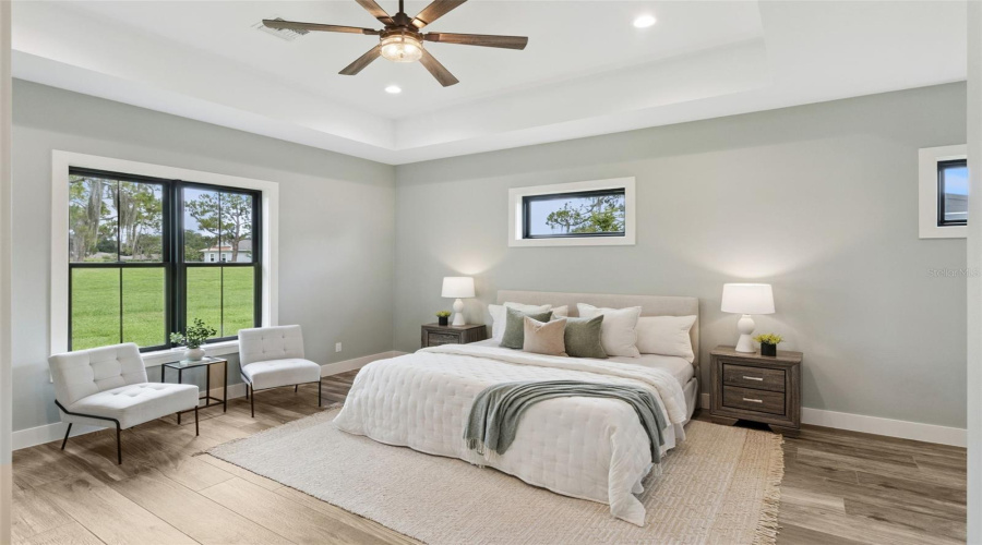 Spacious Primary Bedroom With Tray Ceiling And Natural Light
