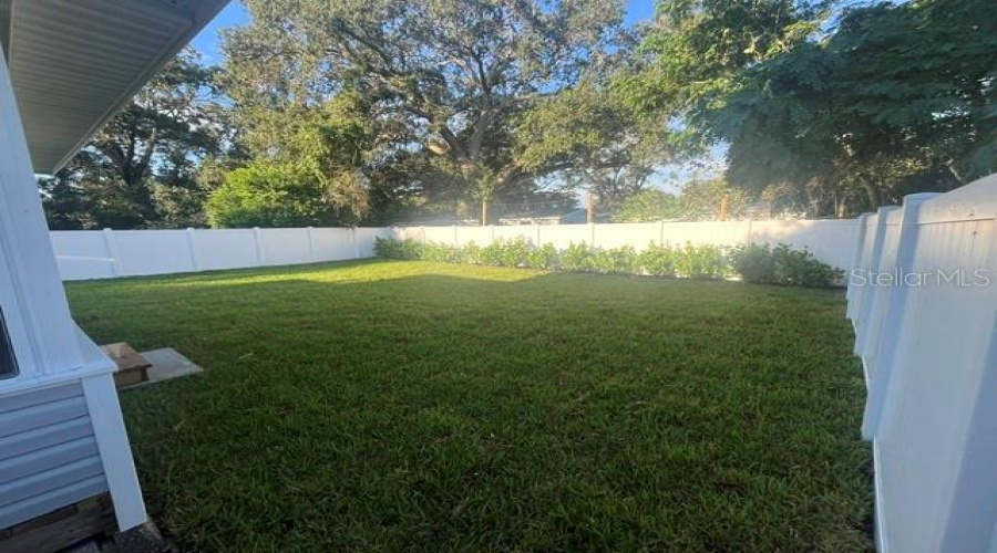 Back Yard