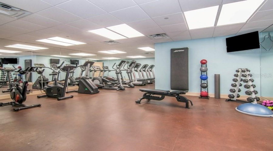 Building Gym