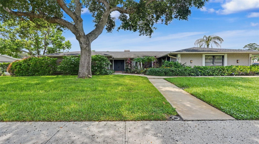 Oldsmar, Florida 34677, 4 Bedroom Bedrooms, ,4 Bathroombathrooms,Residential,For Sale,Holly Hill,0,Mfrtb8529182