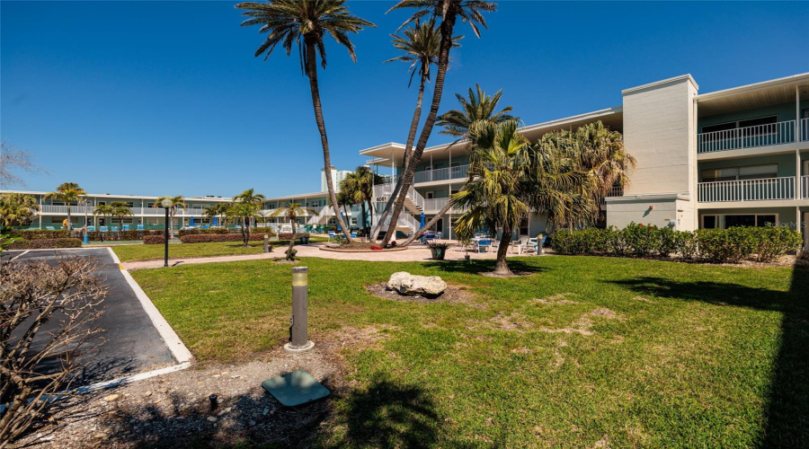 Courtyard W/Beautiful Palm Trees In Front Of The Unit.