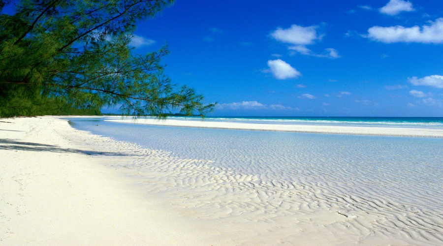 Several Area Beaches
