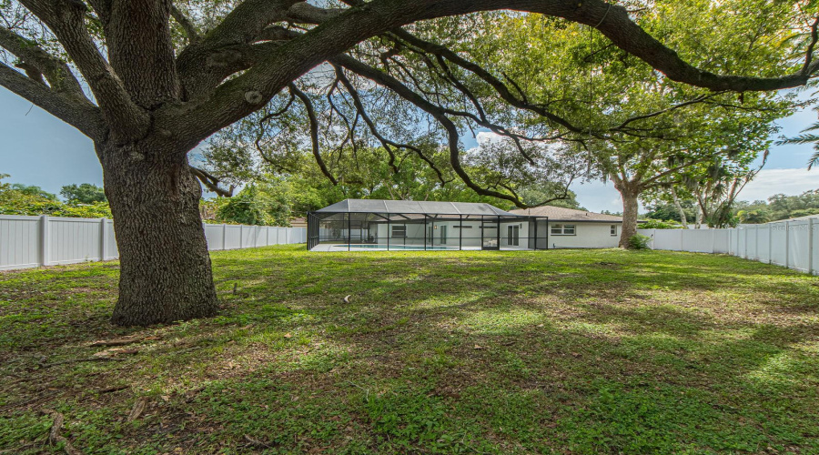 Sprawling Back Yard