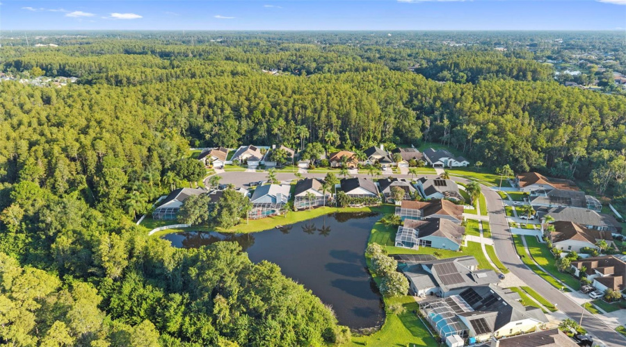 Tampa, Florida 33626, 4 Bedroom Bedrooms, ,2 Bathroombathrooms,Residential,For Sale,Breland,0,Mfrtb8510327