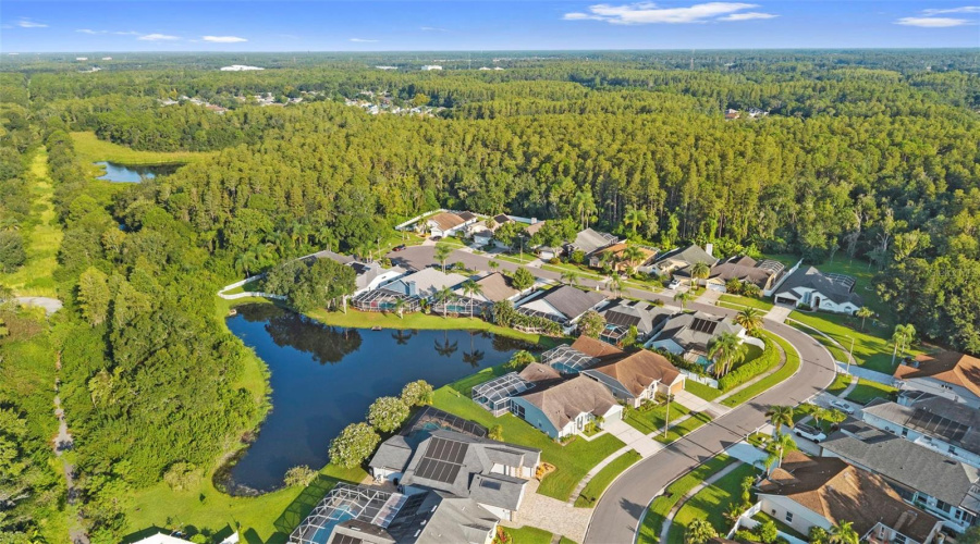 Tampa, Florida 33626, 4 Bedroom Bedrooms, ,2 Bathroombathrooms,Residential,For Sale,Breland,0,Mfrtb8510327