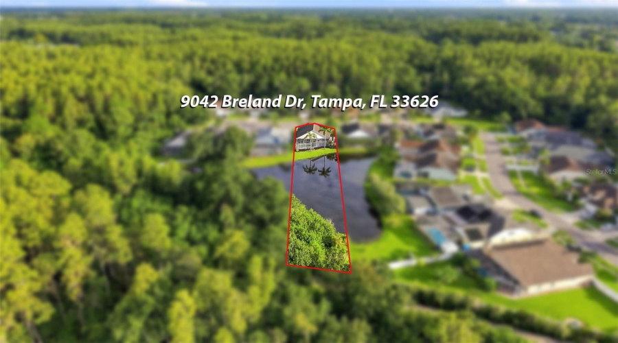 Tampa, Florida 33626, 4 Bedroom Bedrooms, ,2 Bathroombathrooms,Residential,For Sale,Breland,0,Mfrtb8510327