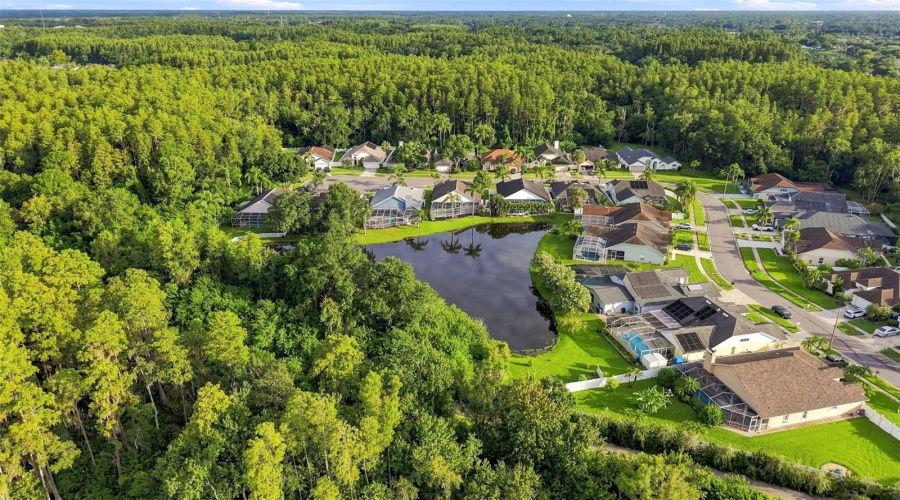 Tampa, Florida 33626, 4 Bedroom Bedrooms, ,2 Bathroombathrooms,Residential,For Sale,Breland,0,Mfrtb8510327