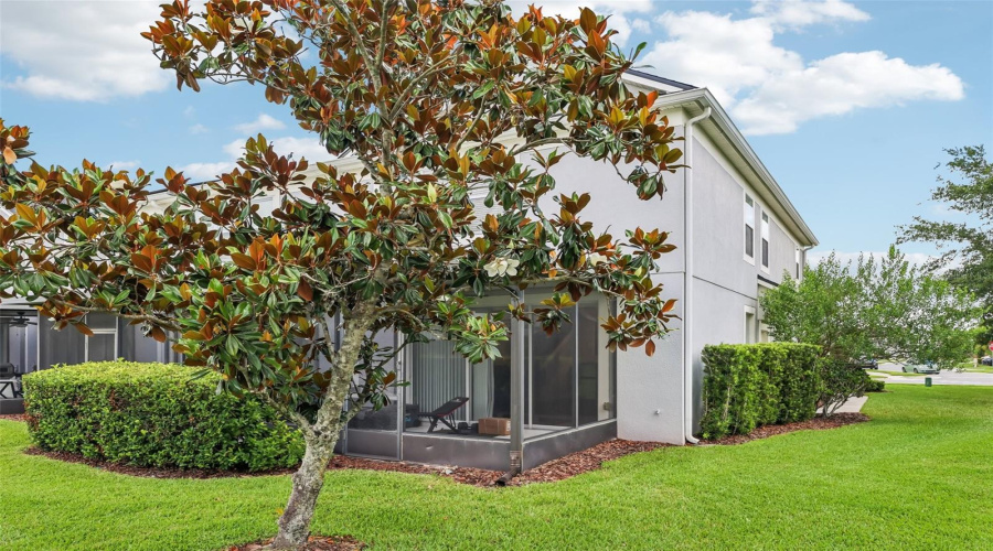 Orlando, Florida 32828, 3 Bedroom Bedrooms, ,2 Bathroombathrooms,Residential,For Sale,Bellinkoff,0,Mfro6396700