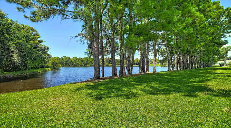 Trinity, Florida 34655, 2 Bedroom Bedrooms, ,2 Bathroombathrooms,Residential,For Sale,Morning Rose,0,Mfrtb8535097