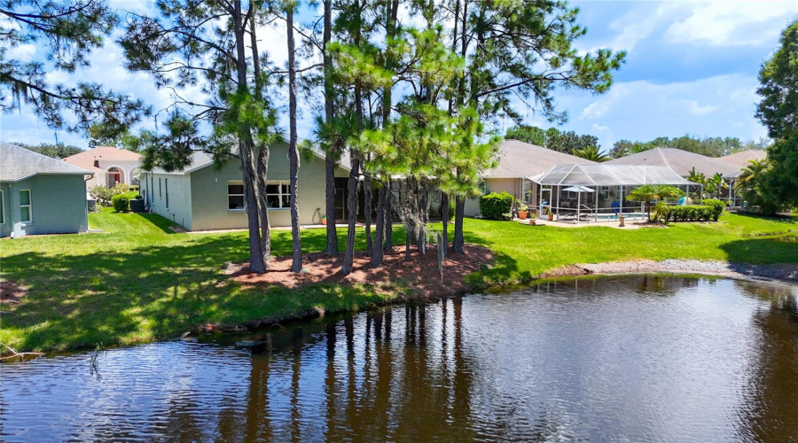Trinity, Florida 34655, 2 Bedroom Bedrooms, ,2 Bathroombathrooms,Residential,For Sale,Morning Rose,0,Mfrtb8535097