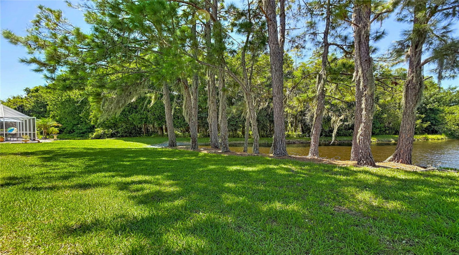 Trinity, Florida 34655, 2 Bedroom Bedrooms, ,2 Bathroombathrooms,Residential,For Sale,Morning Rose,0,Mfrtb8535097