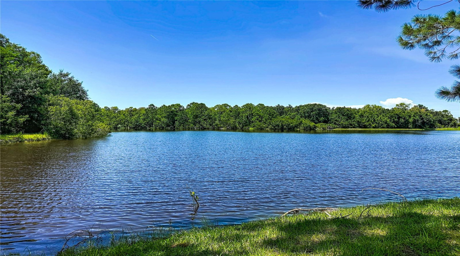 Trinity, Florida 34655, 2 Bedroom Bedrooms, ,2 Bathroombathrooms,Residential,For Sale,Morning Rose,0,Mfrtb8535097