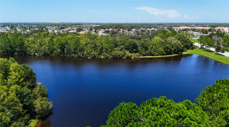 Trinity, Florida 34655, 2 Bedroom Bedrooms, ,2 Bathroombathrooms,Residential,For Sale,Morning Rose,0,Mfrtb8535097