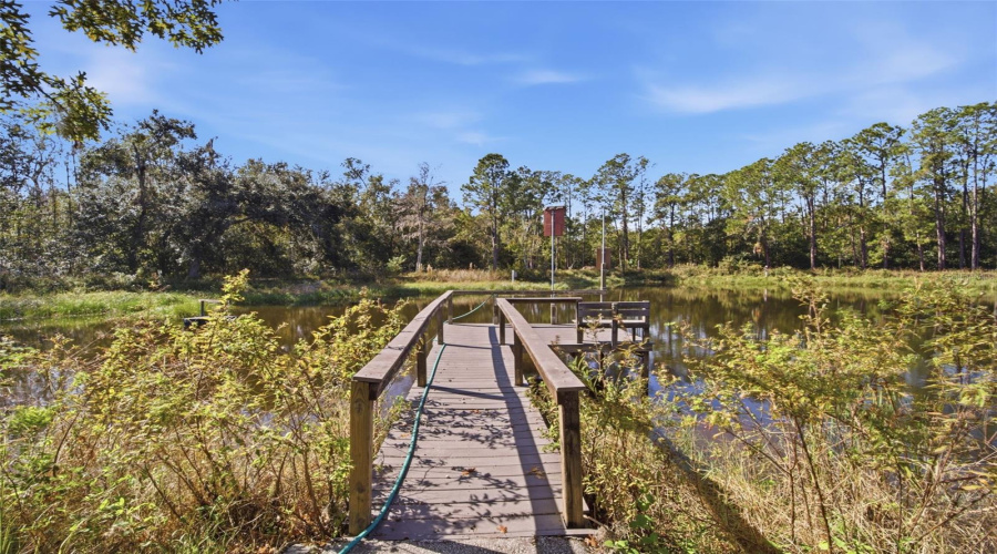 Dock To Pond