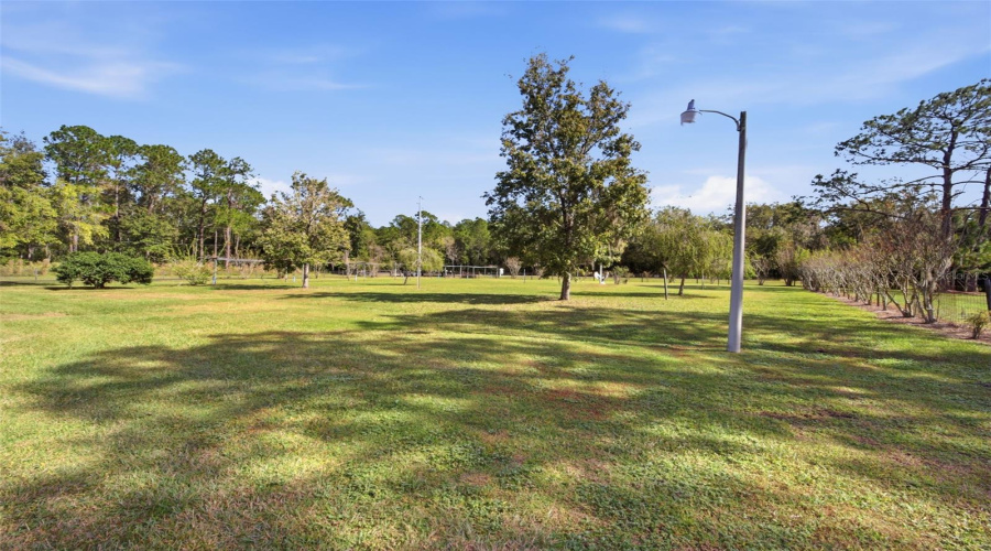 Lakeland, Florida 33809, 3 Bedroom Bedrooms, ,2 Bathroombathrooms,Residential,For Sale,Moore,0,Mfrl4963674