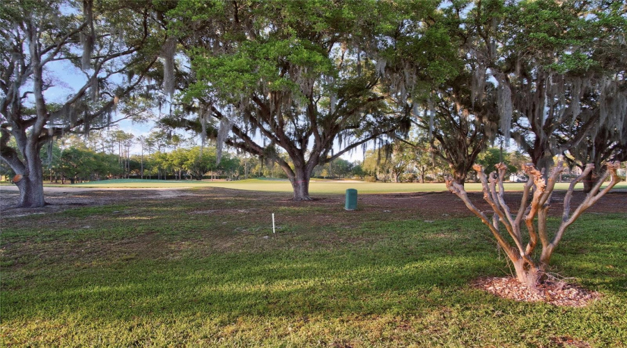 Valrico, Florida 33596, 3 Bedroom Bedrooms, ,3 Bathroombathrooms,Residential,For Sale,Fairway One,0,Mfrtb8492731