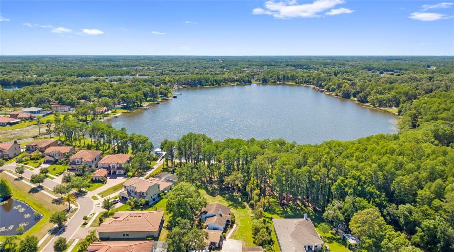 Tampa, Florida 33624, 4 Bedroom Bedrooms, ,3 Bathroombathrooms,Residential,For Sale,Lakecastle,0,Mfrtb8513935