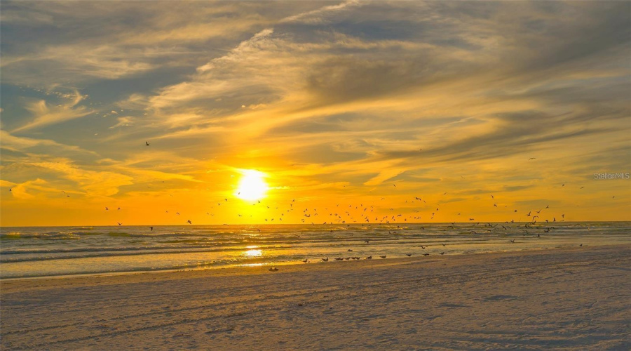 Sarasota, Florida 34242, 4 Bedroom Bedrooms, ,4 Bathroombathrooms,Residential,For Sale,Midnight Pass,0,Mfra4702119