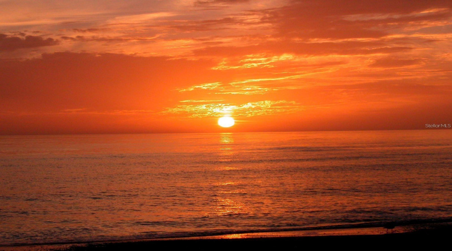 Sarasota, Florida 34242, 4 Bedroom Bedrooms, ,4 Bathroombathrooms,Residential,For Sale,Midnight Pass,0,Mfra4702119
