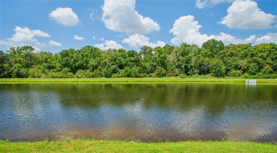 Wesley Chapel, Florida 33544, 5 Bedroom Bedrooms, ,3 Bathroombathrooms,Residential,For Sale,Virginia Willow,0,Mfrtb8539683