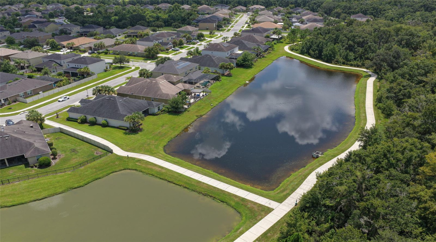 Wesley Chapel, Florida 33544, 5 Bedroom Bedrooms, ,3 Bathroombathrooms,Residential,For Sale,Virginia Willow,0,Mfrtb8539683