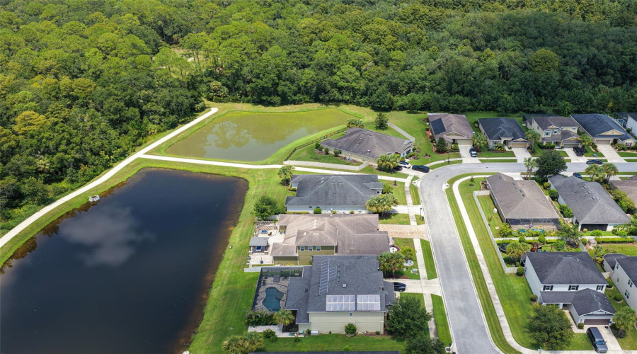 Wesley Chapel, Florida 33544, 5 Bedroom Bedrooms, ,3 Bathroombathrooms,Residential,For Sale,Virginia Willow,0,Mfrtb8539683