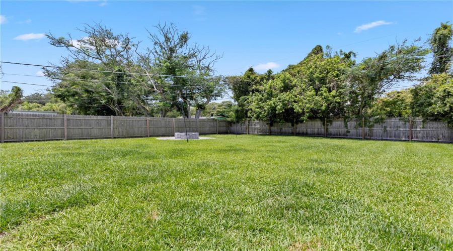 Back Yard