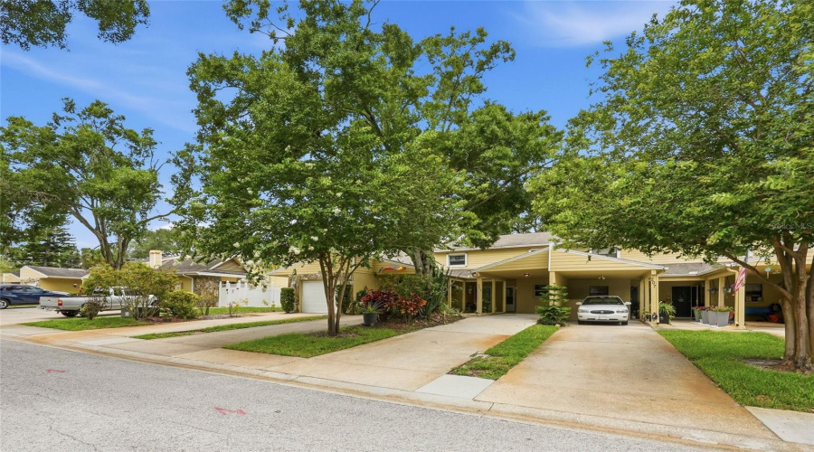 Palm Harbor, Florida 34684, 2 Bedroom Bedrooms, ,2 Bathroombathrooms,Residential,For Sale,Somerset,0,Mfrtb8515153