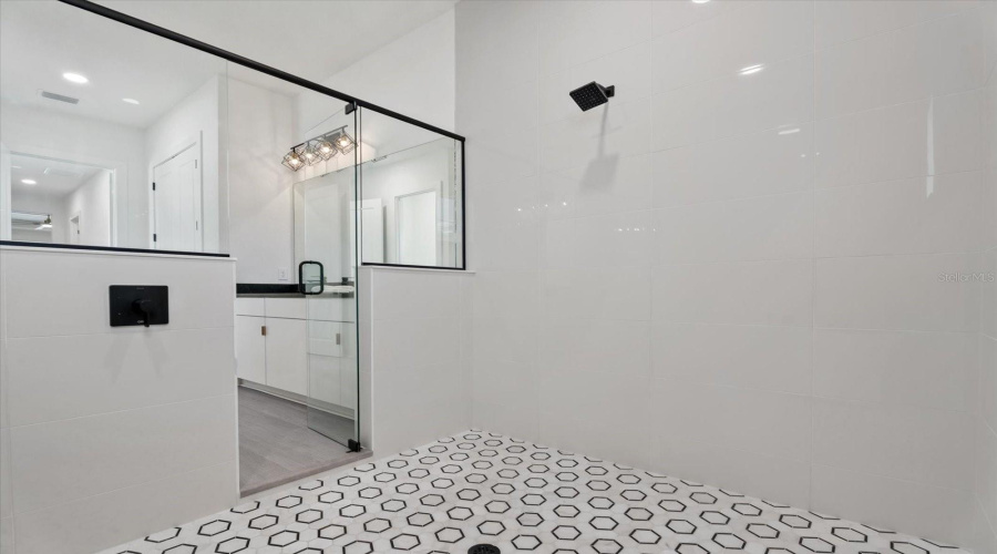 Primary Shower